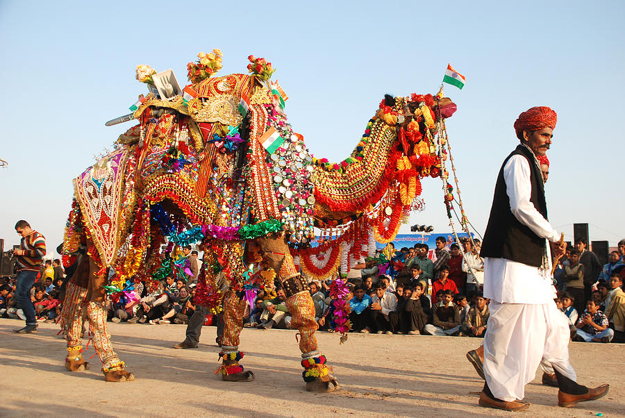 Bikaner-Camel-Festival